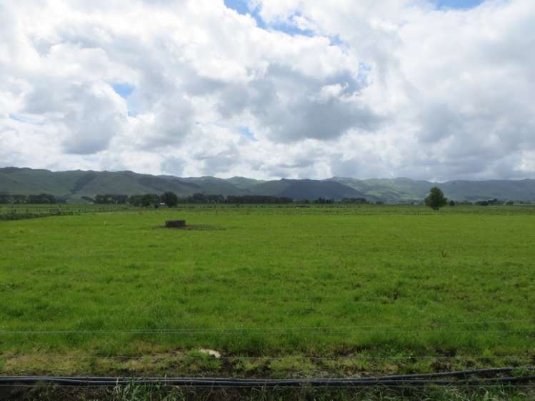 161 Endowment Road Te Aroha_12