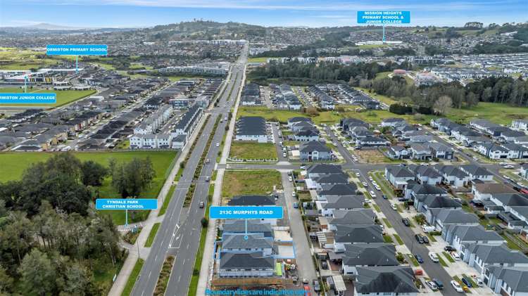 213c Murphys Road Flat Bush_31