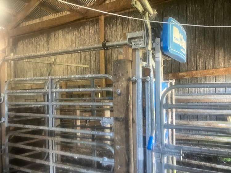 25 Mangamaire Road Dannevirke_10