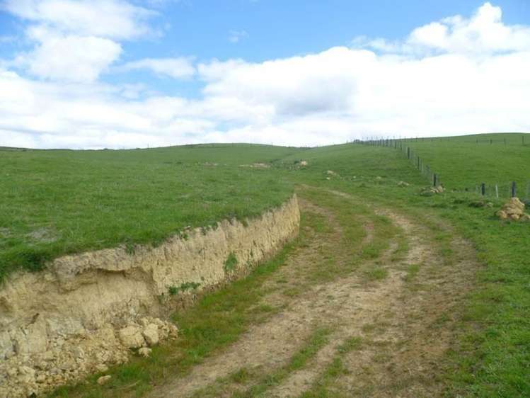 115 Chester Park Road Carterton_11