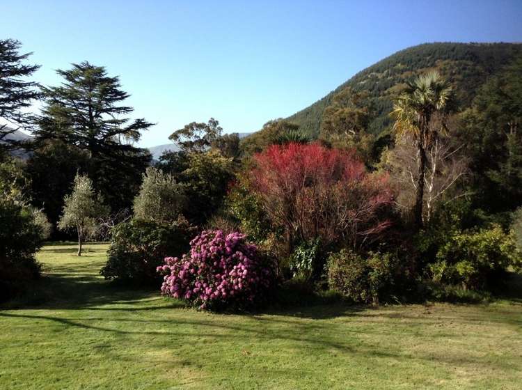 1457 Western Valley Road Port Levy_6