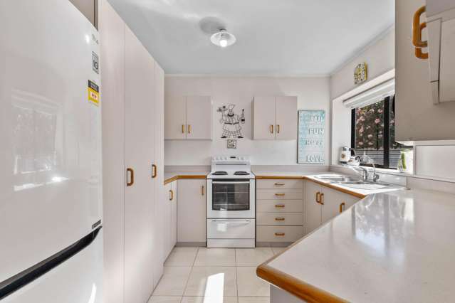 30b Hutcheson Street Mayfield_2