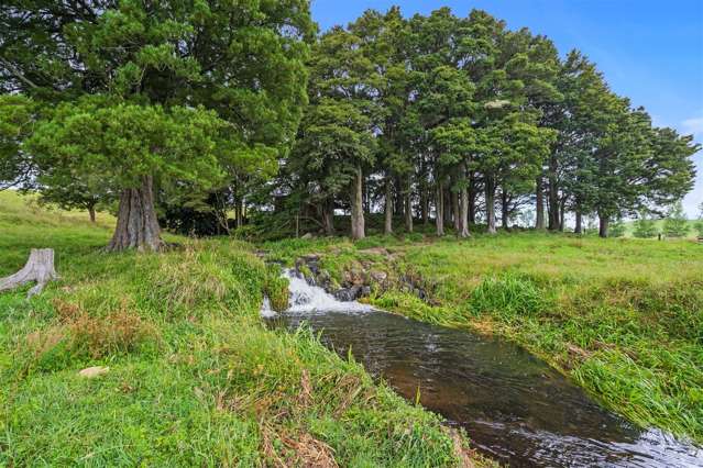 120 Springs Road Poroti_3