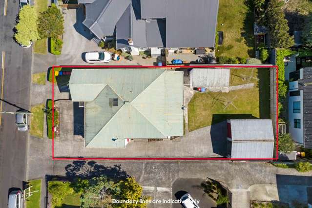 17 Wairiki Road Mount Eden_2