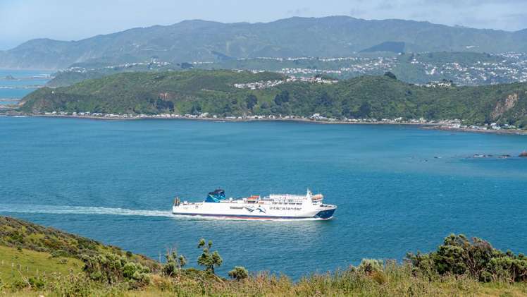 525 Muritai Road Pencarrow Head_25