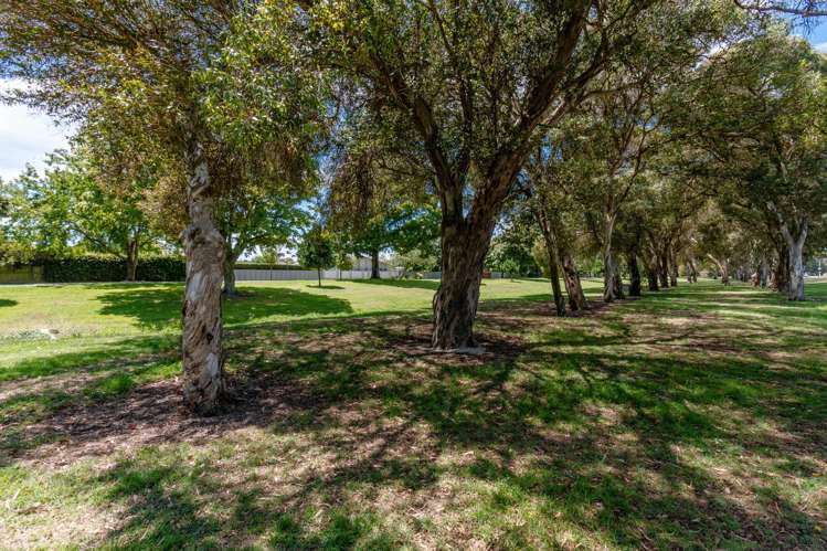 8a Riverbend Road Onekawa_6