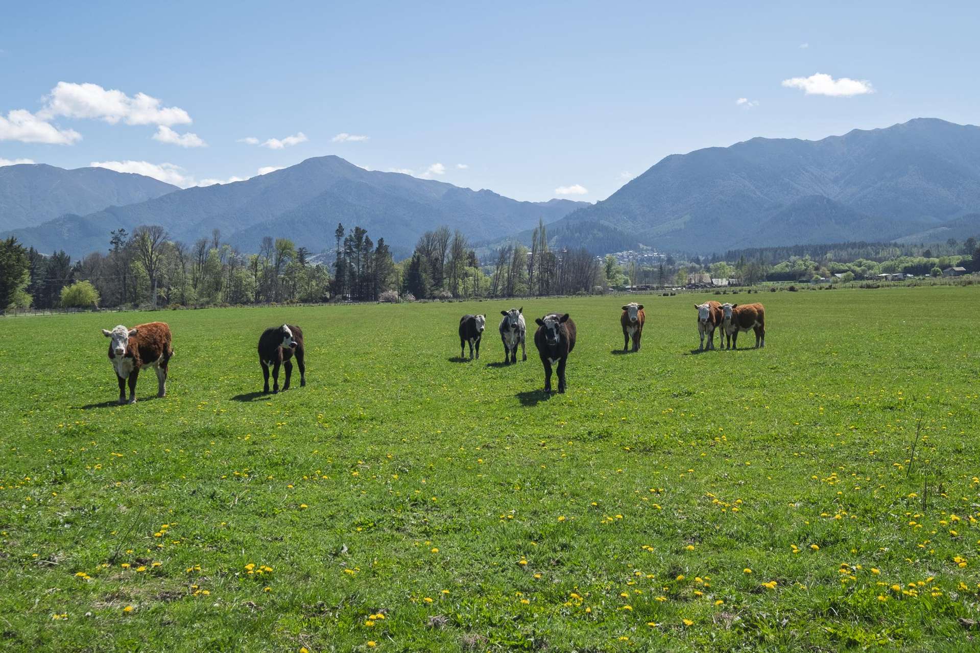 280 Chatterton Road Hanmer Springs_0