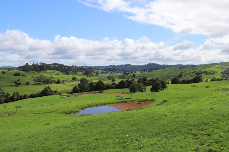 Inkster Road Maromaku_10