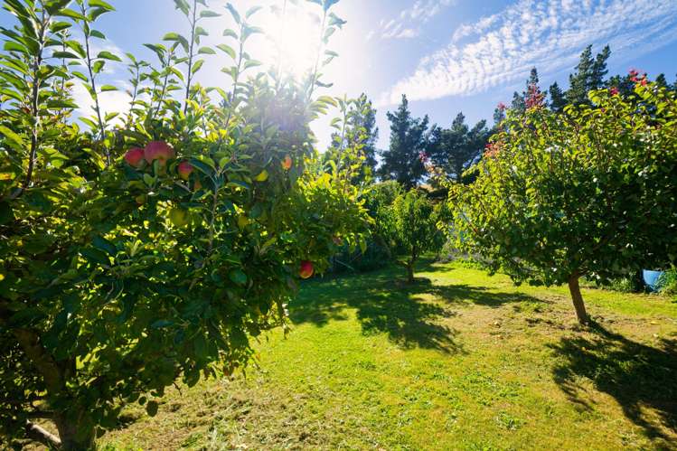 317 Caseys Road Blind River_18