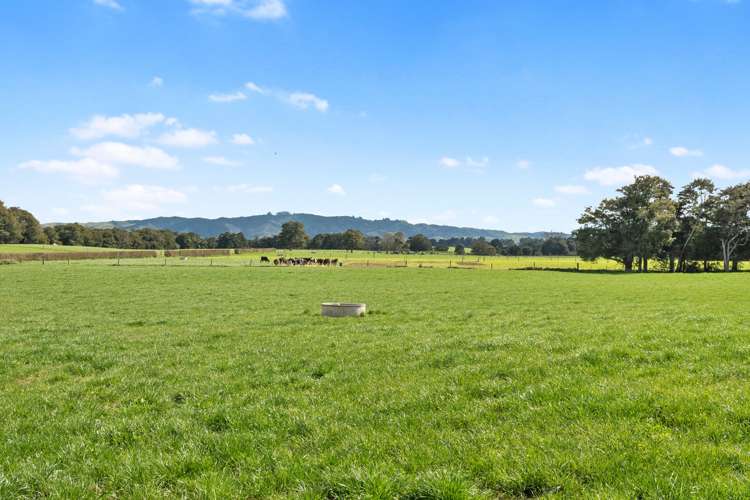 711 Horrell Road Morrinsville_14