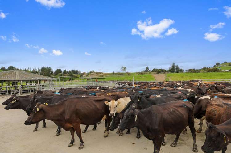 66 Kirtons Road Taumarunui_45