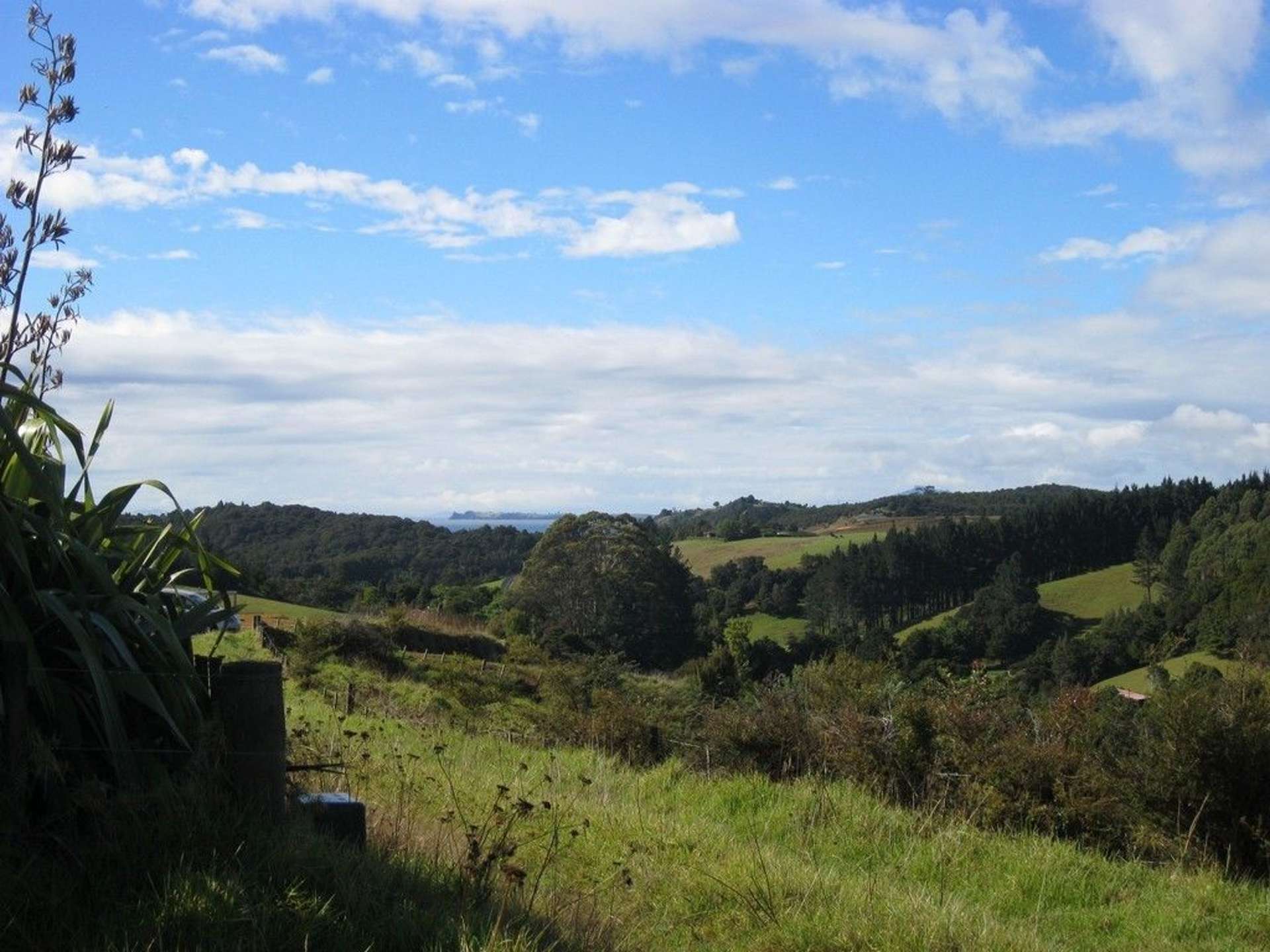 Waiotoi Road Ngunguru_0