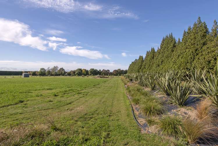 2 Walford Way Darfield_6