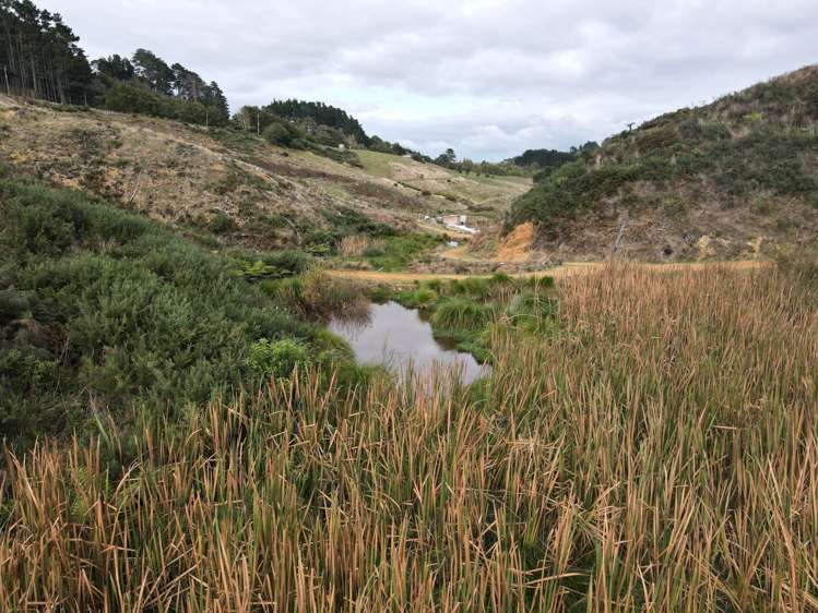 37 Waikaretu Wairamarama Road Glen Murray_20