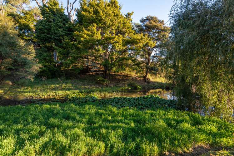 896 Haruru Road Wainui_34