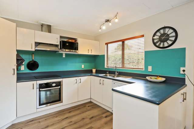 22 Harris Street Greenmeadows_1