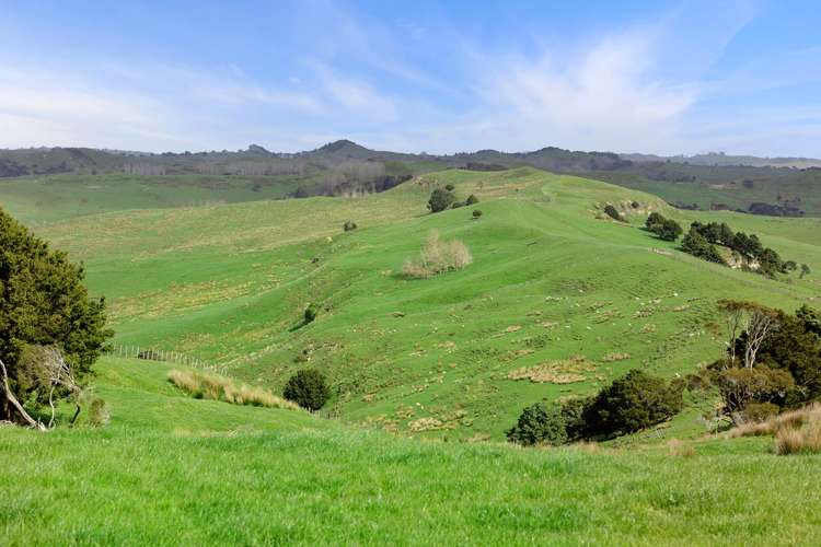 895 Wairamarama Onewhero Road Onewhero_36