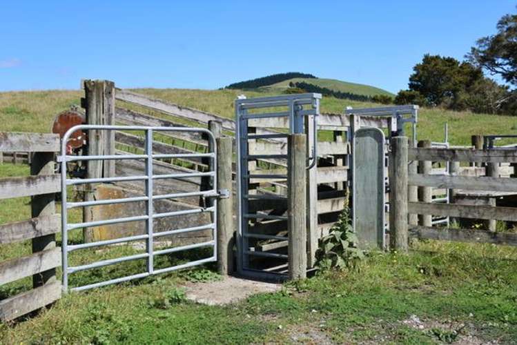 98 Millstream Road Dannevirke_19