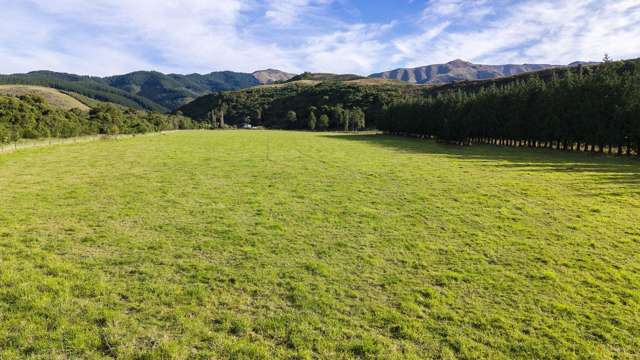 Upper Hook Road, Hunter Waimate_3