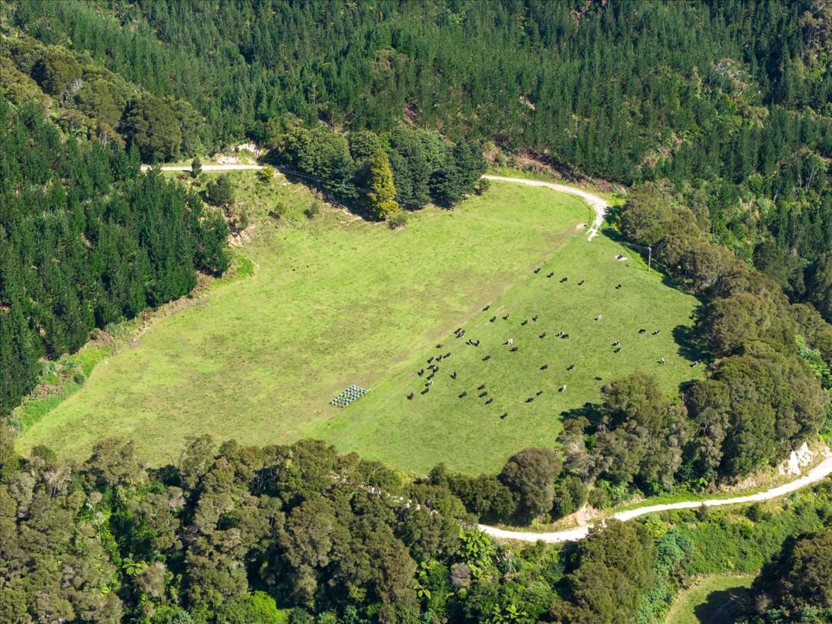 720 State Highway 33_4