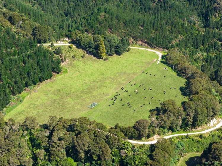 720 State Highway 33 Paengaroa_8