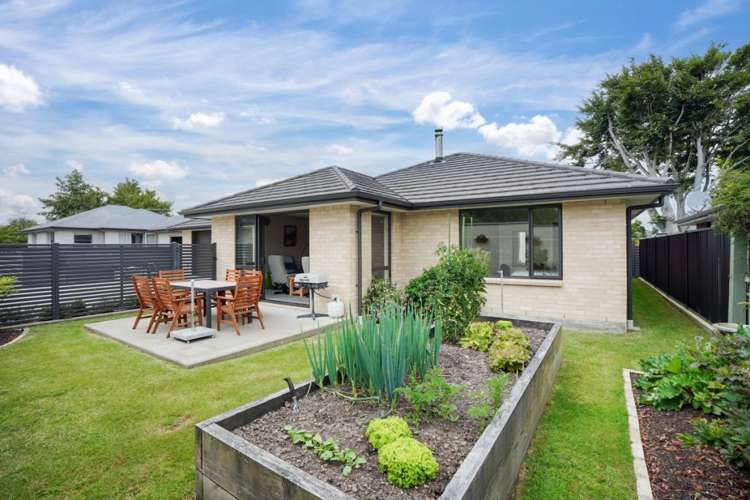 100 Ward Street Waverley_23