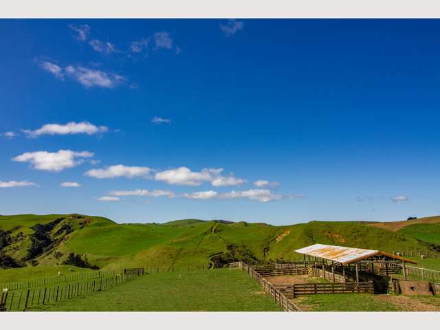 1456 Rangitatau East Road Ruapehu-King Country Surrounds_4