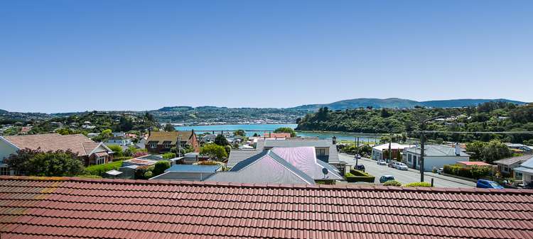 49 Elliot Street Andersons Bay_15