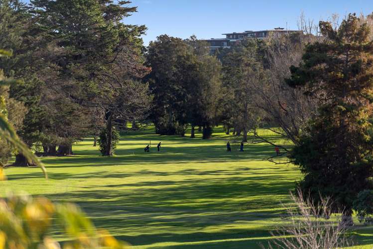 54 & 54A Wairoa Road_4