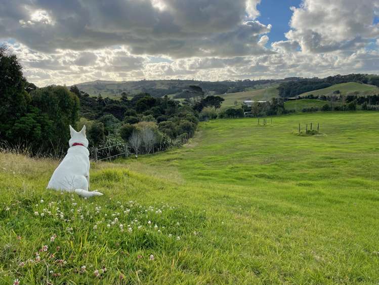 443 Lees Gully Road Pollok_45