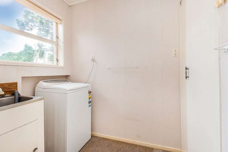 14c Byron Street Miramar_12