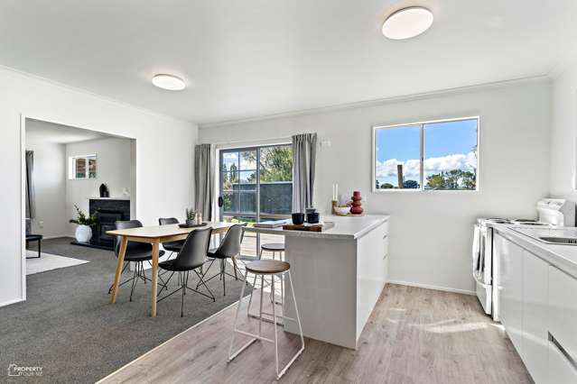 22 Ballance Street Masterton_2