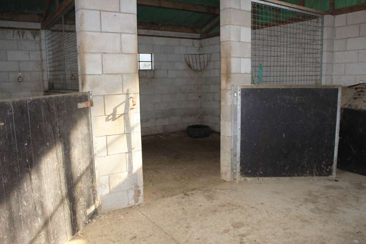 113 Morrinsville-Walton Road Morrinsville_12