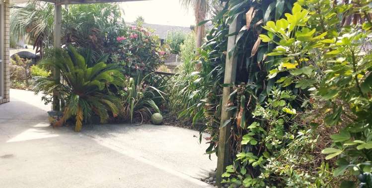 8 Paradise Point Place One Tree Point_12