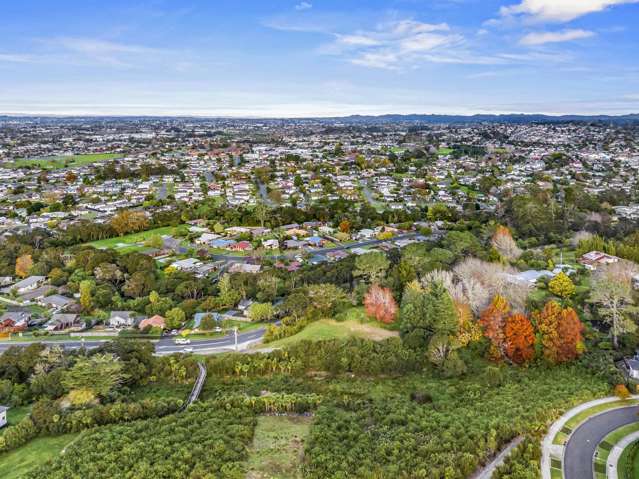 75 and 75a Birdwood Road Swanson_3