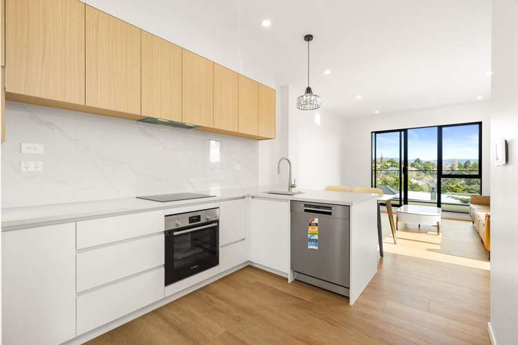 Lot 2-4/42 Captain Scott Road Glen Eden_9