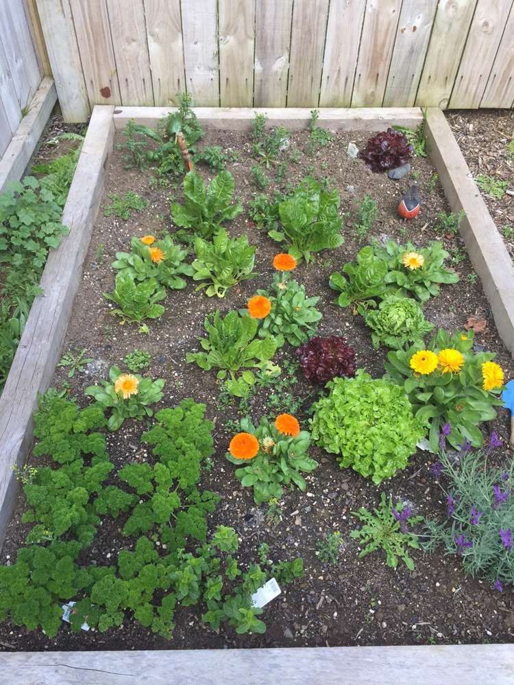 18 Pyne Crescent Pokeno_4