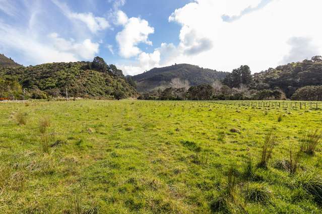 Lot Lot 1 and 4/5676 Masterton Castlepoint Road Castlepoint_4