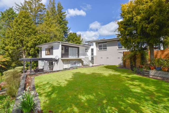 24A Utuhina Road Springfield_2