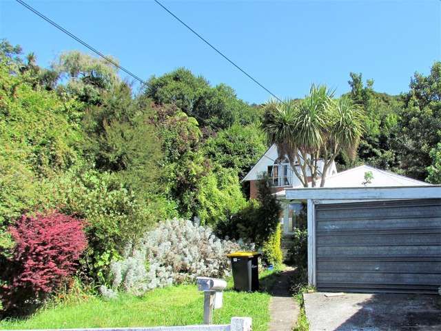 116 Queen Street North Dunedin_1