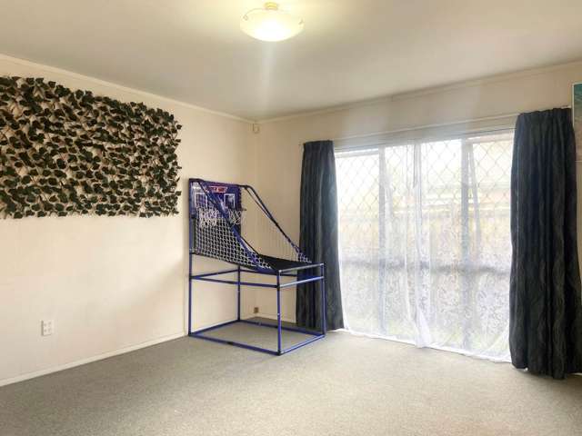 161 Te Irirangi Drive Flat Bush_2