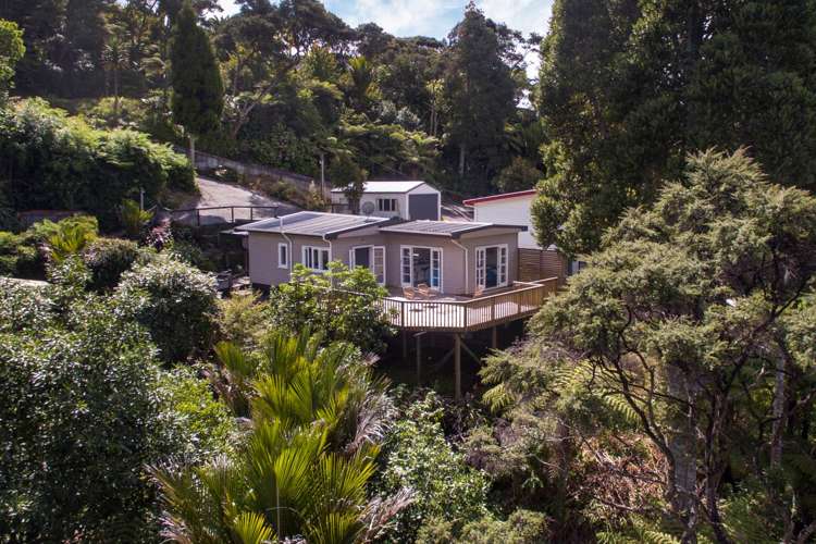 65 Takahe Road Titirangi_7