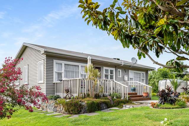 561 Settlement Road Kaiwaka_4