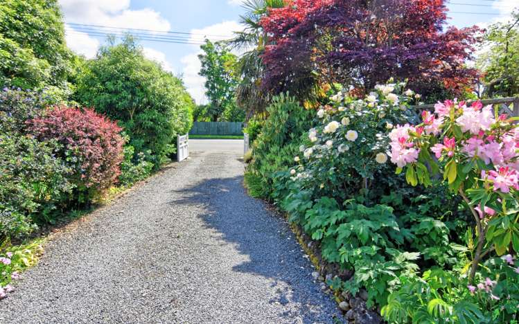 123 Renall Street Masterton_20