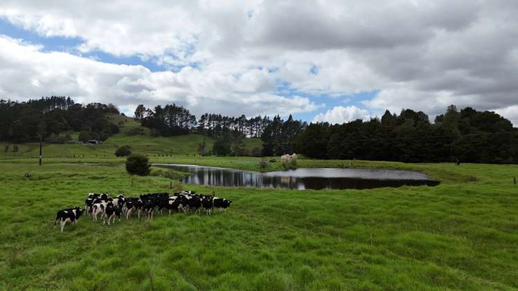 30C Te Ranga Road Kaeo_22
