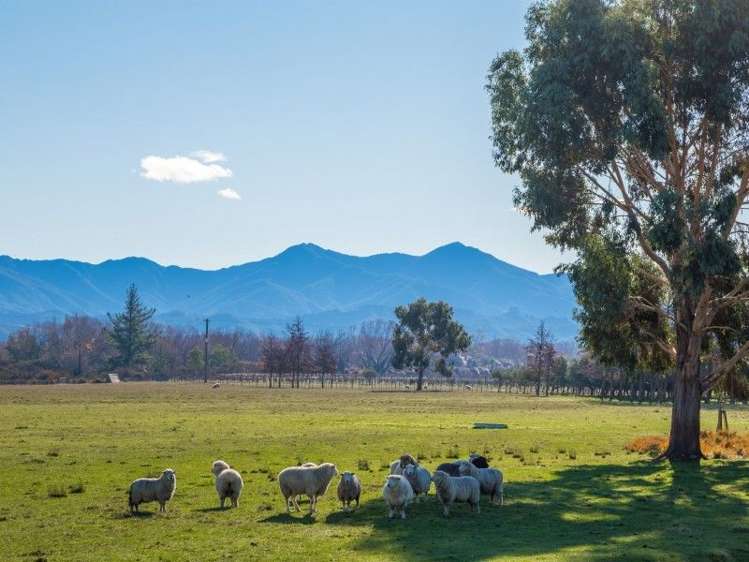 178 Shandon Road Waihopai Valley_7