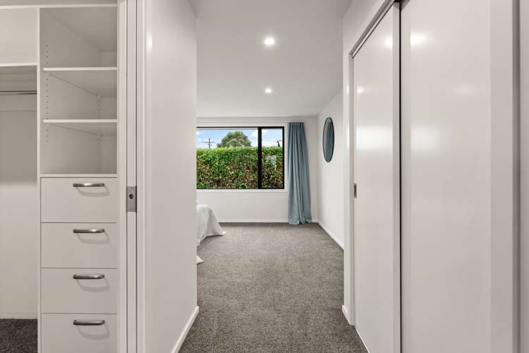 7 Vampire Road Waldronville_9