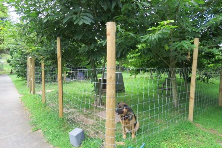 298 Tunakotekote Road Taumarunui_11