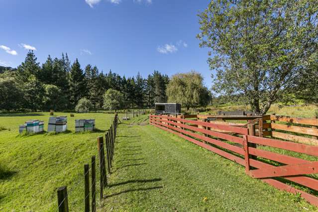 71a Wright Road Dairy Flat_2