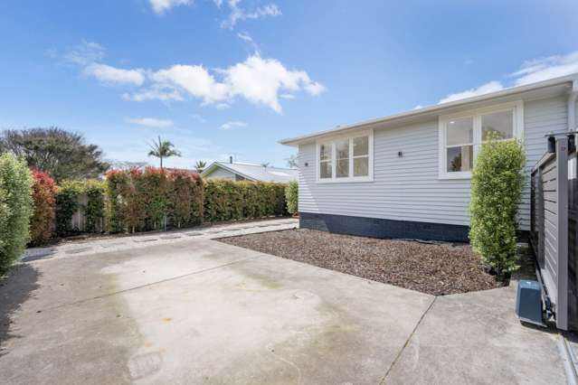 17 Laurel Street Mt Albert_2
